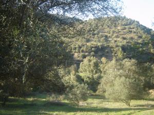 ouled aissa (bled mansouri)