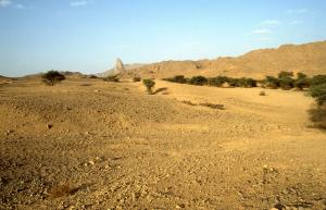 La pista per Tamanrasset