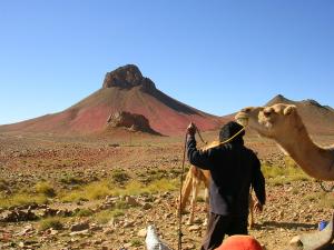 montagne recouverte d'oseille sauvage près de l'assekrem ( octobre 2006 )