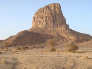 Une caravane de chameaux sous le pic Iharen