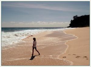 Mahé, Seychelles. Anse Bazarca, 20 février 2008