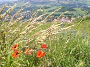 21 juin, c'est l'été à Gergovie !!!