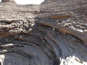 asentamiento neolitico