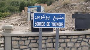 youkous