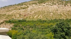 montagnes youkous a hammamet, tebessa