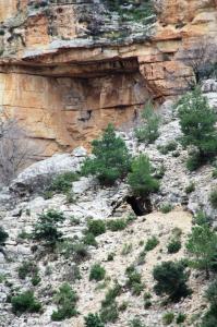 source d'eau de Youkous -'El Hammamet ? Tébessa - Algérie