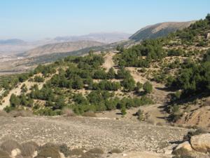 Paysage prés du mont Gaagaa, Tebéssa