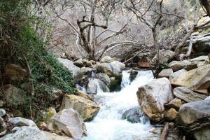 source d'eau de Youkous -'El Hammamet ? Tébessa - Algérie