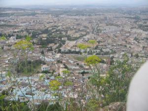 Vue de Tlemcen