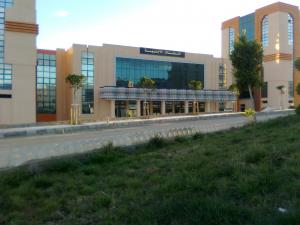 ???? ?????? ????????