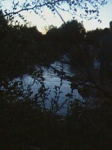 La Source folle de sabra ex Turenne, Algerie