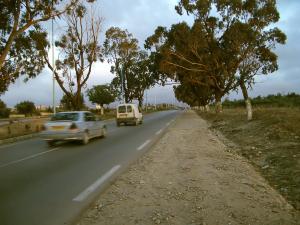hennaya à côté de l'autoroute