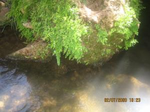 khemis par mefiteh abdelatif