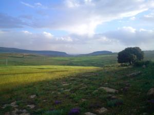 ver Frawna et el-khemis