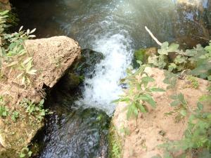 khemis beni snous mefiteh abdelatif