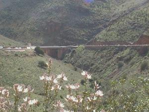 Pont de Oued Zitoune