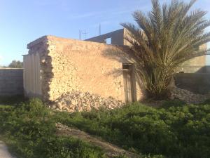 ???? ?????? ???? ???