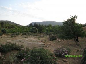 Yebdar - ???? ???? ?? ????