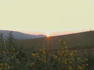 Tamekssalet Ex.BOUZIDI Sabra, Algerie