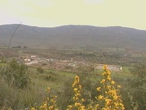 Tamekssalet Ex Bouzidi