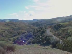 Vue vers Dachra des BOUZIDI (Sabra)