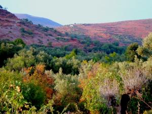 khemis beni snous (mefiteh abdelatif)