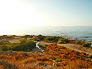 LA FRONTIERE ENTRE BEIDER PLAGE ET MAAROUF PLAGE