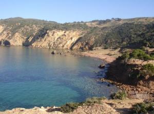 palge sauvage de Mkhalled