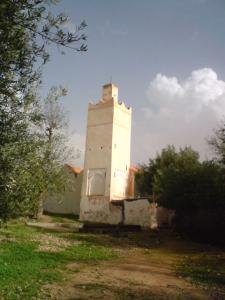 L'ancienne mosquée de taffassera