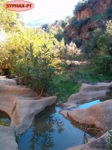 ???? ???? ??? ?? ????? YEBDAR_2