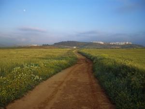 hennaya route qui mène à ain el houtz