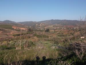 vue Oued Télata par O/B/ Hamiti