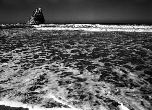 1ere Moscarda Le Rocher