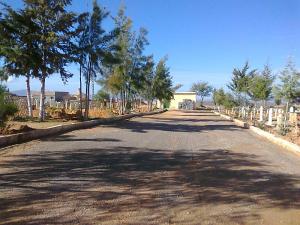 Cimitiere de sidi ali chrif