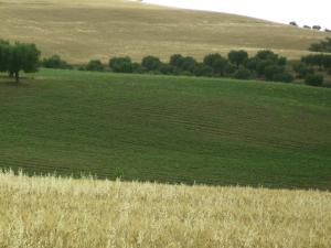 01 saison 02 récoltes