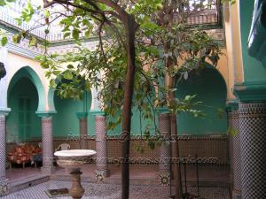 NEDROMA Dar Senhadji