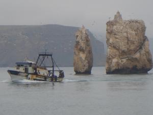 UN CHALUTIER RENTRE AU PORT