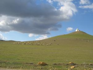 Shepherd, a nice job...