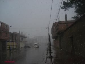 TIARET- coopérative Ali Maachi