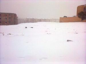 TIARET SOUS LA NEIGE