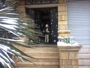 TIARET SOUS LA NEIGE