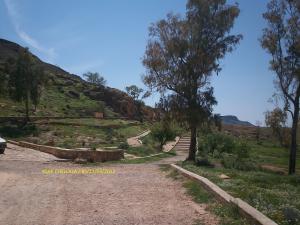 Ksar Chellala  Ouaskaria