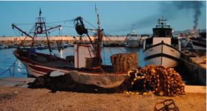 Une nouvelle marée noire pollue les côtes de Skikda