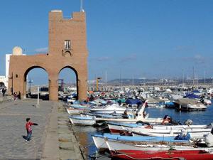 Algérie - Association Octopus: le 1er Festival nautique aura lieu le 5 juillet