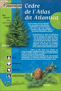 Tizi Ouzou -  Programme de plantation de 70 ha de cèdres à Illilten