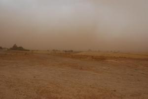Sandstorm
