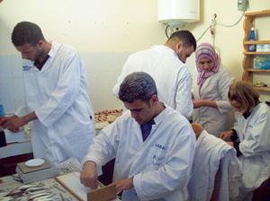 Ghazaouet  -  Des scientifiques enquêtent sur la filière sardinière