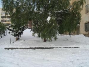 Sétif sous la neige, février 2013
