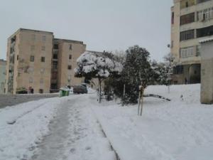 Sétif sous la neige, février 2013