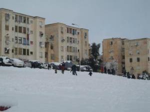 Sétif sous la neige, février 2013